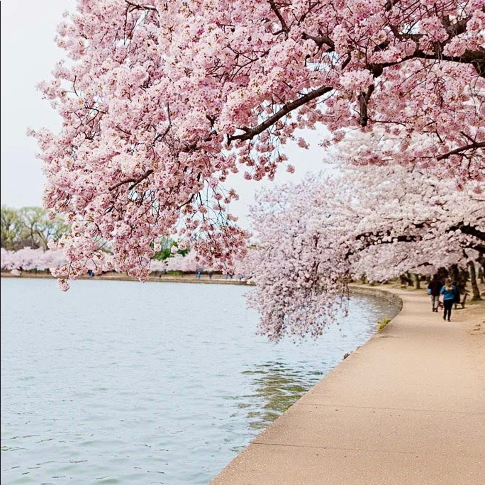 Meet your Posher, Kate